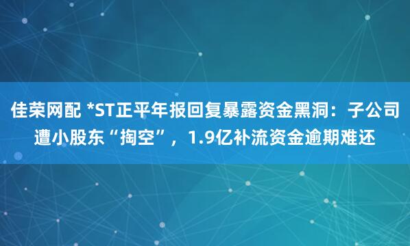 佳荣网配 *ST正平年报回复暴露资金黑洞：子公司遭小股东“掏空”，1.9亿补流资金逾期难还