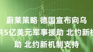 蔚莱策略 德国宣布向乌克兰提供5亿美元军事援助 北约新机制支持