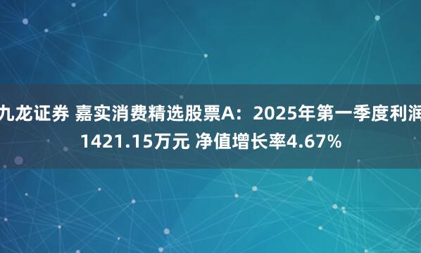 九龙证券 嘉实消费精选股票A：2025年第一季度利润1421.15万元 净值增长率4.67%