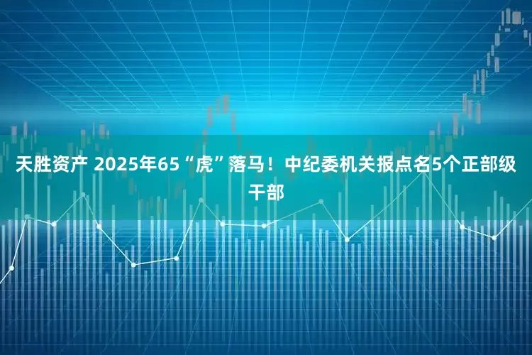 天胜资产 2025年65“虎”落马！中纪委机关报点名5个正部级干部