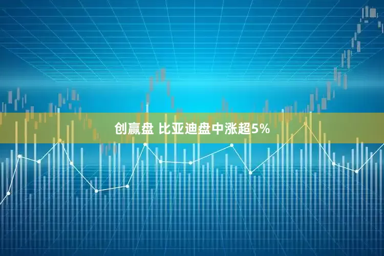 创赢盘 比亚迪盘中涨超5%
